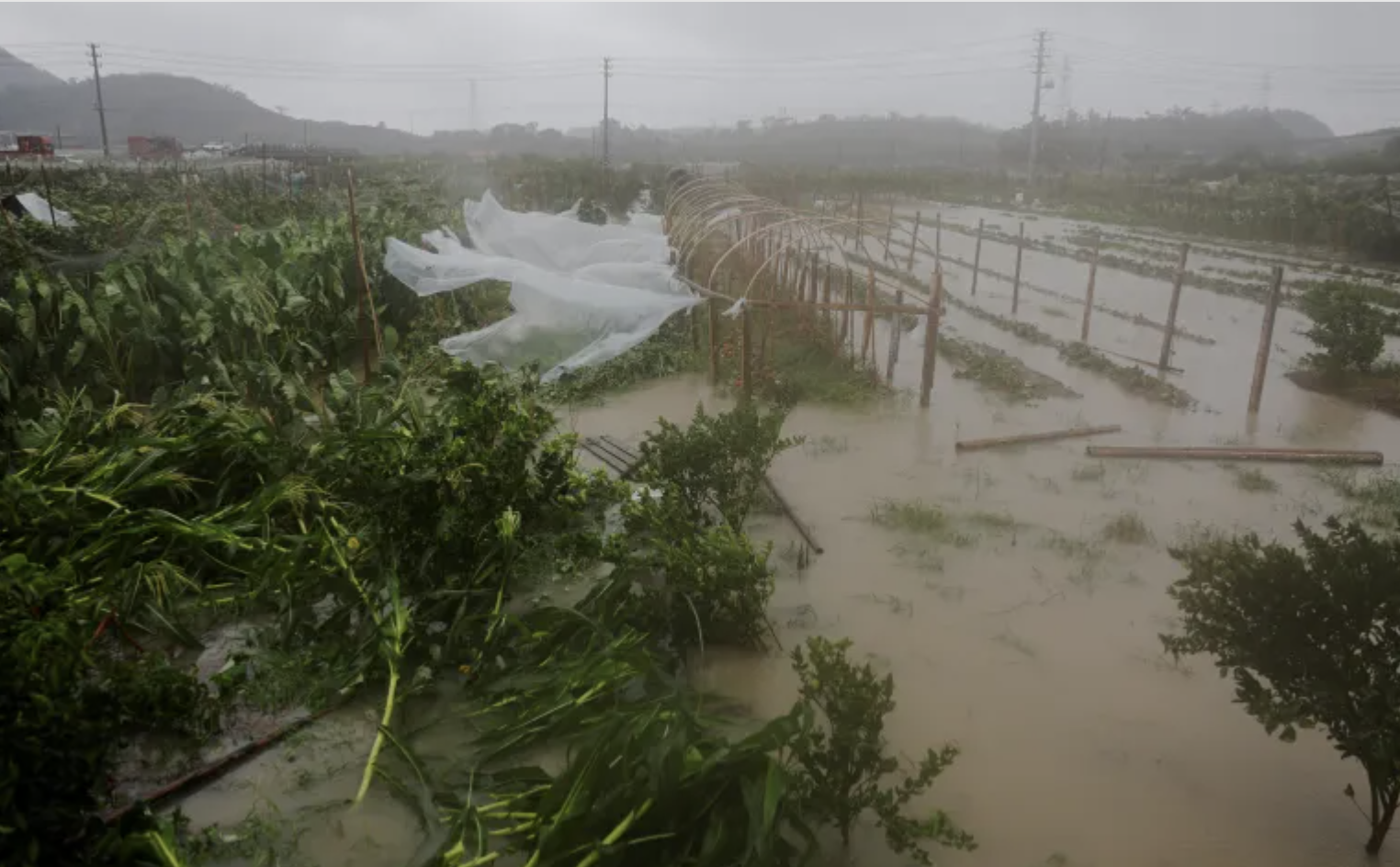 2 Million People Evacuated as Typhoon Makes Landfall in China